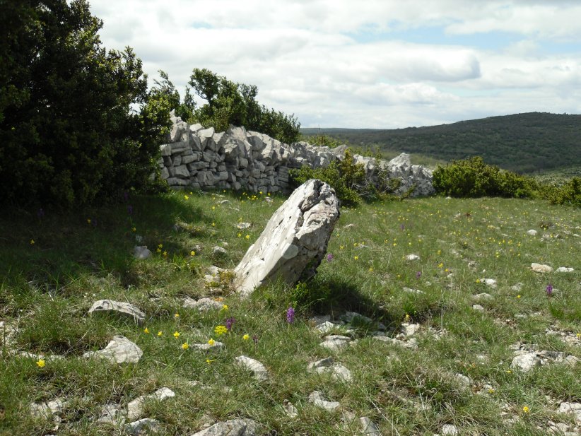 Click for the gallery page to add comments and vote (PID:144978) Menhir des Buissières