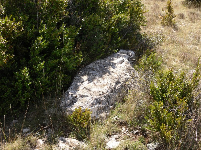 Menhir de Tibelet 2