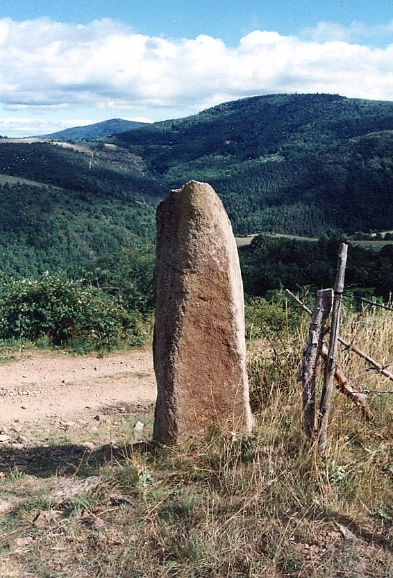 Click for the gallery page to add comments and vote (PID:41301) Menhir de la Fergère
