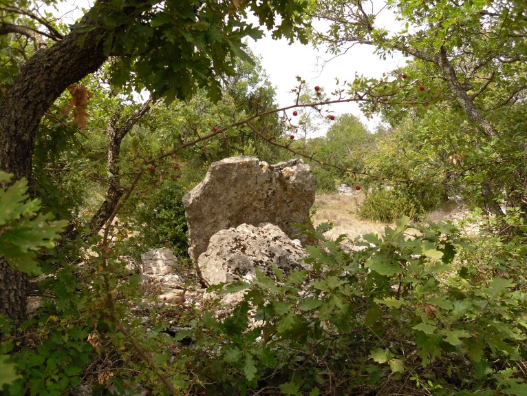 Click for the gallery page to add comments and vote (PID:97153) Dolmen de la Borie d'Arre 2