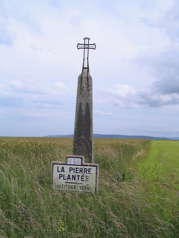 Menhir du Col de la Pierre Plantée (Laubert)