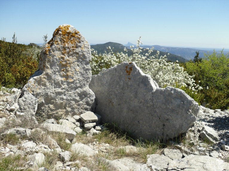 Mas de Torreau dolmen 2