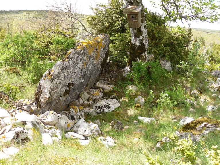 Dolmen des Peyrieres