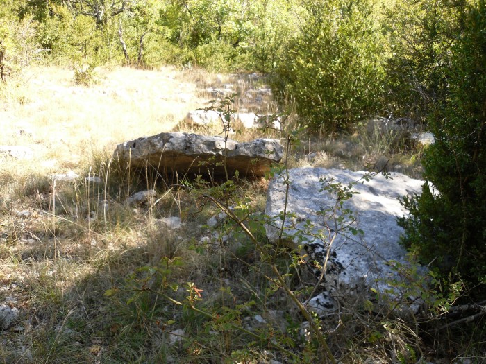 Click for the gallery page to add comments and vote (PID:83672) Dolmen du Rancas 2