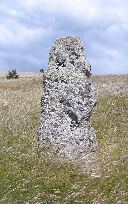 Click for the gallery page to add comments and vote (PID:187495) Menhir de Costeguison