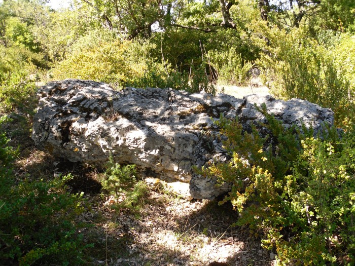 Menhir de Ferrussac 2