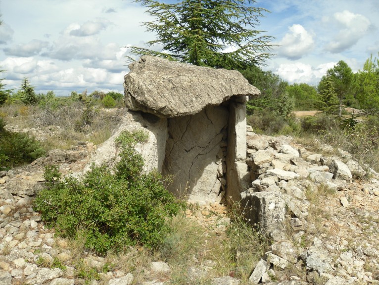Click for the gallery page to add comments and vote (PID:97455) Dolmen de Montmajou 1