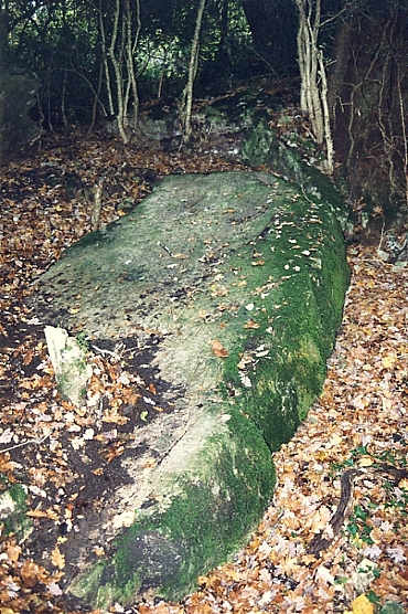 Dolmen d'Aurières 2