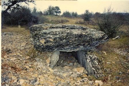 Dolmen de Chamgefège