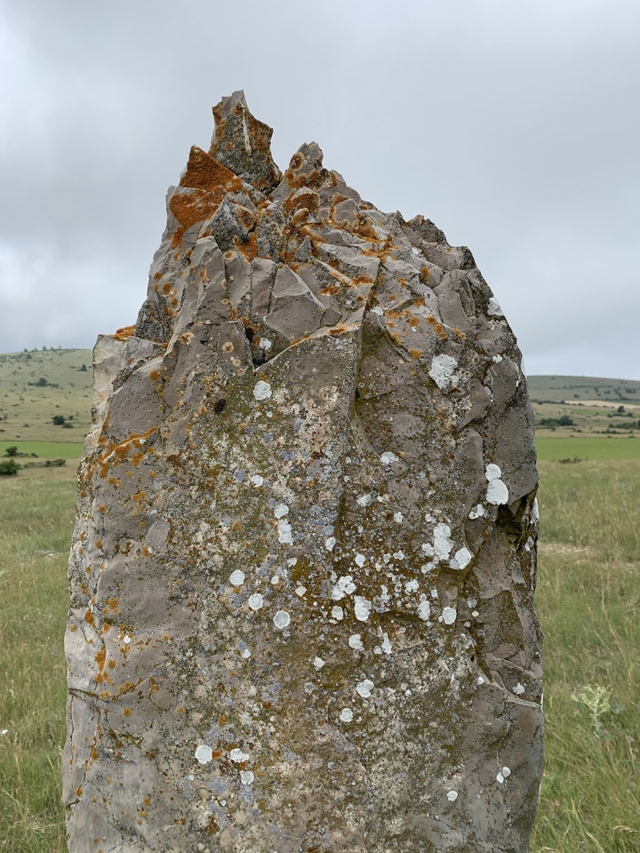 Menhir de la Serre de la Rastou