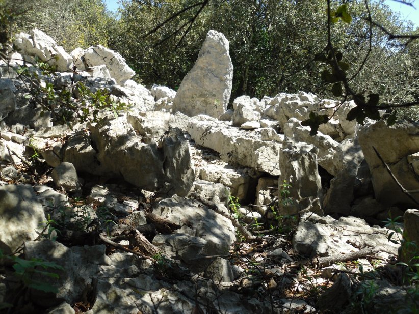 Click for the gallery page to add comments and vote (PID:134602) Dolmen de Saint-Micisse 2