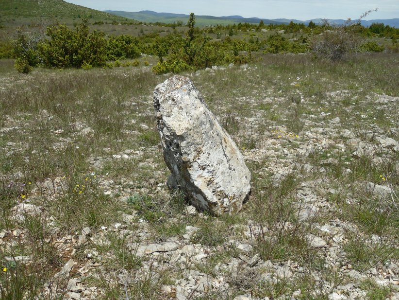 Click for the gallery page to add comments and vote (PID:140827) Menhir des Baumes
