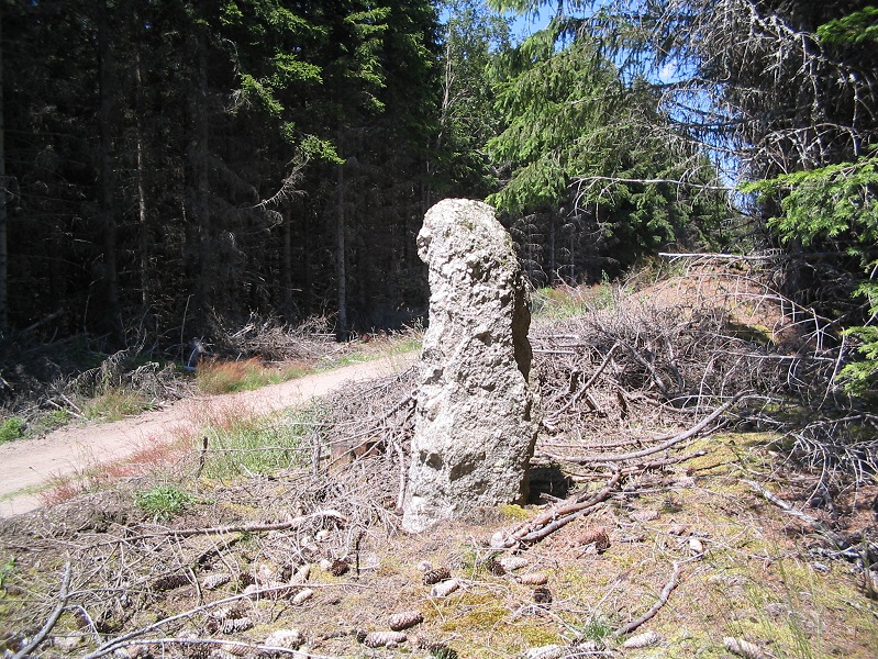 Click for the gallery page to add comments and vote (PID:187575) Menhir du Plot de la Fage 5