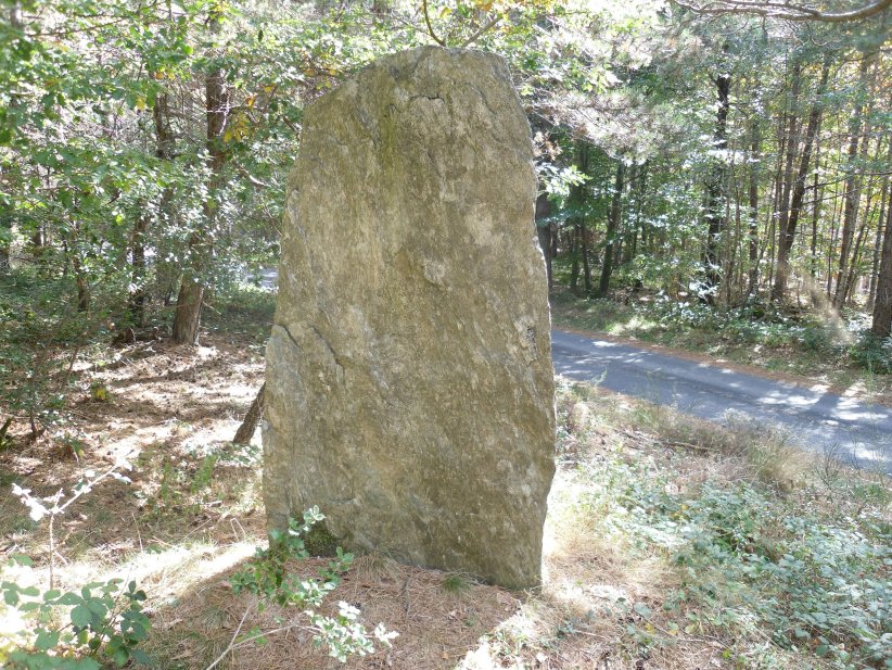 Click for the gallery page to add comments and vote (PID:139898) Menhir de Fontmort