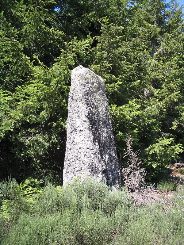 Menhir du Plot de la Fage 2