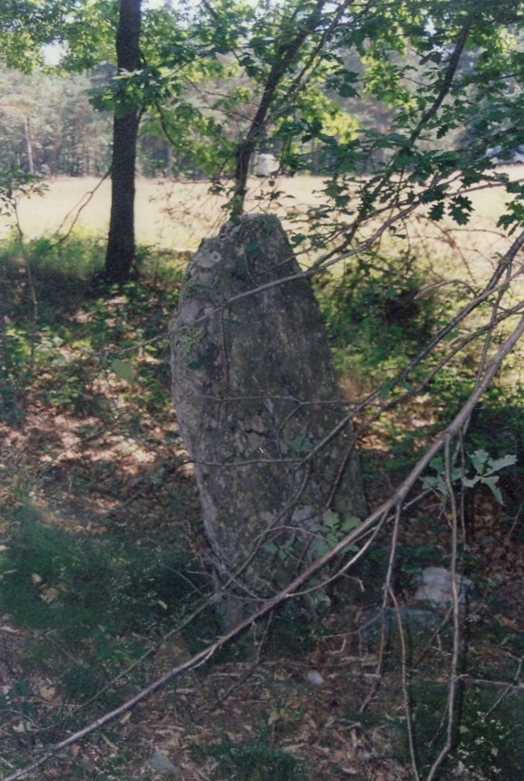 Click for the gallery page to add comments and vote (PID:41304) Col des Laupies menhir