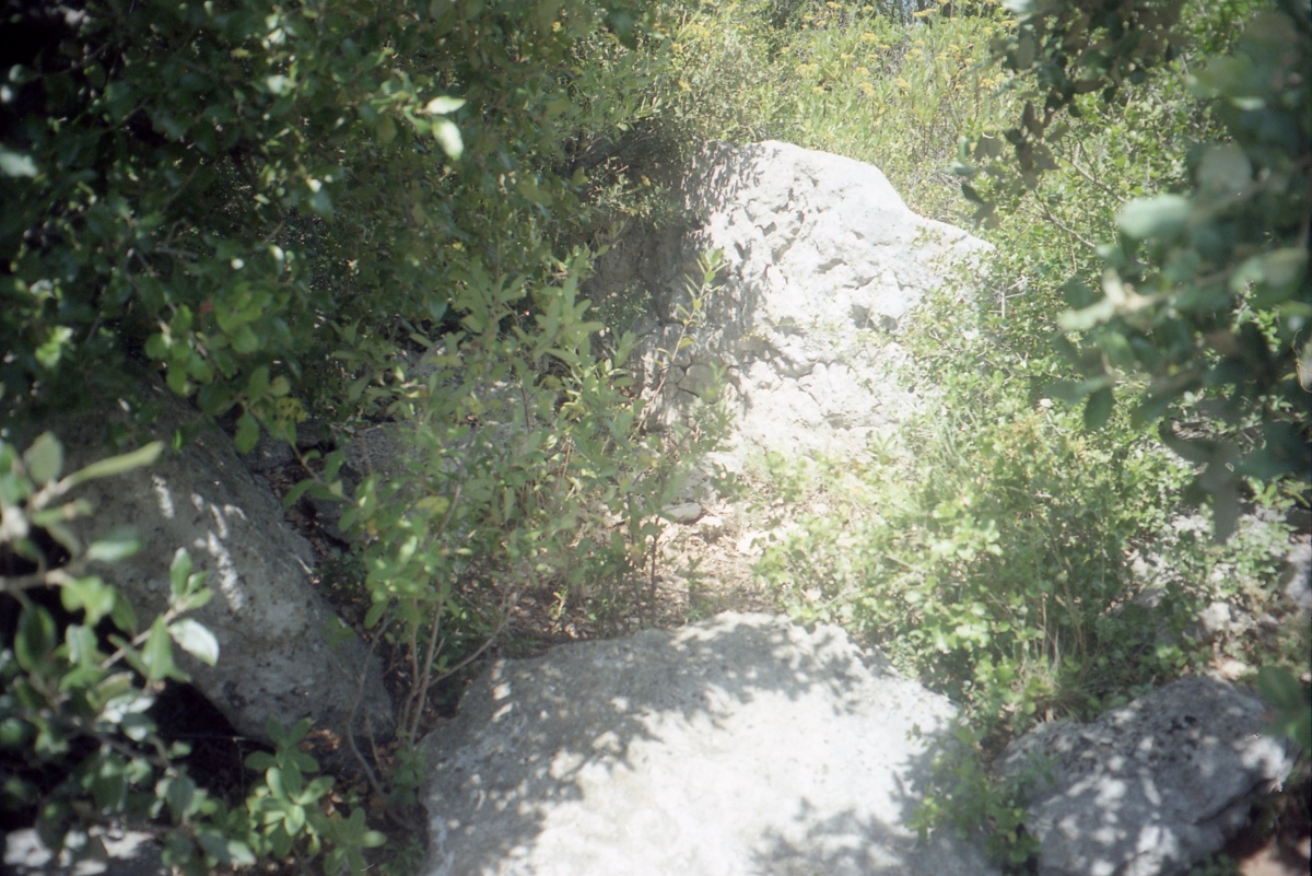 Click for the gallery page to add comments and vote (PID:209341) Dolmen du Bois Bas 9