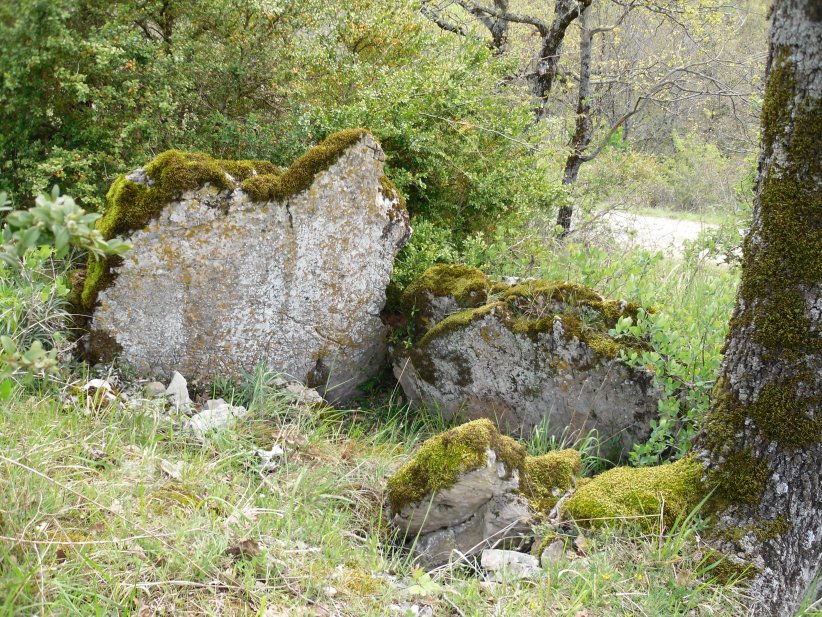 Click for the gallery page to add comments and vote (PID:121771) Dolmen d'Airoles 1