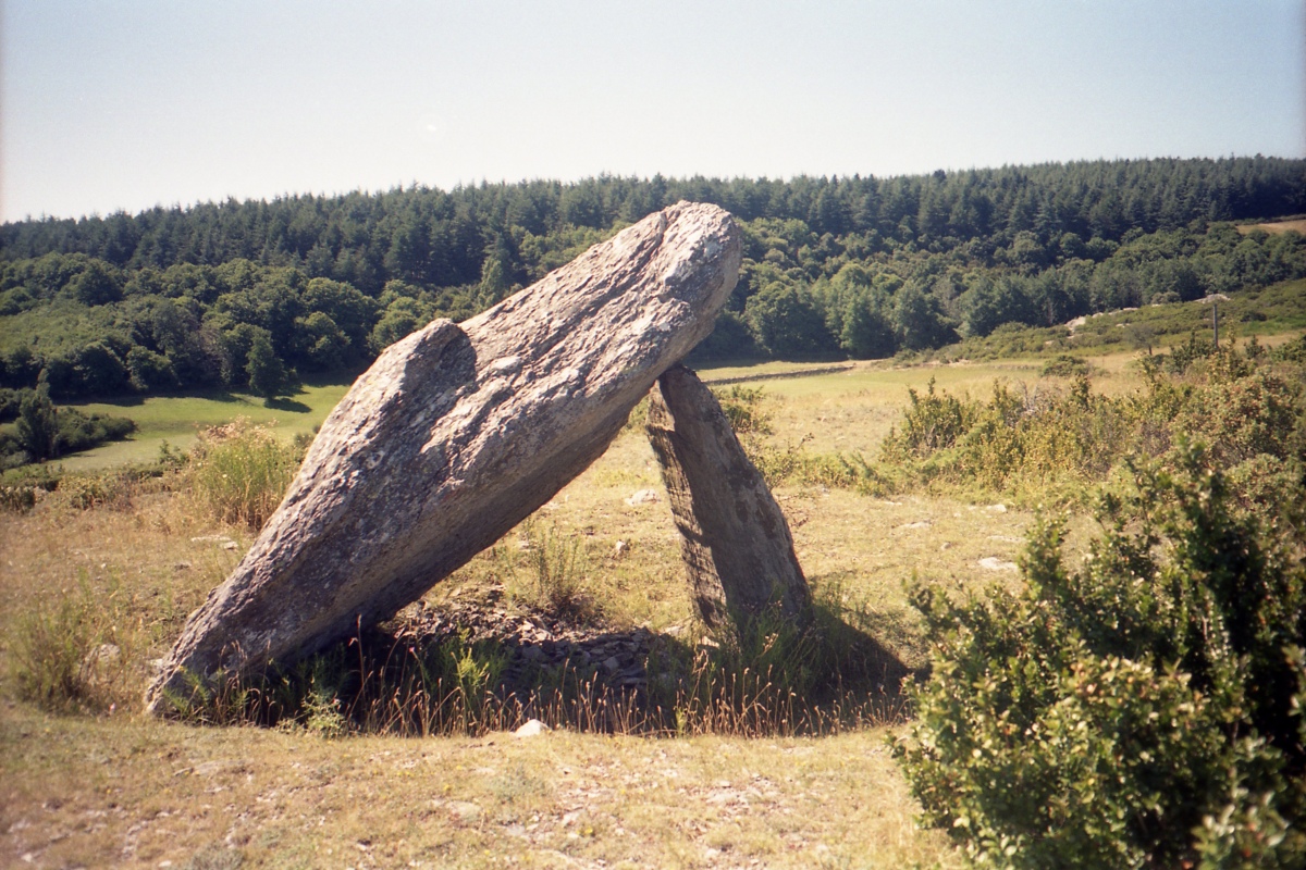 Click for the gallery page to add comments and vote (PID:209400) Dolmen de la Pierre Plantée (Laferrière)