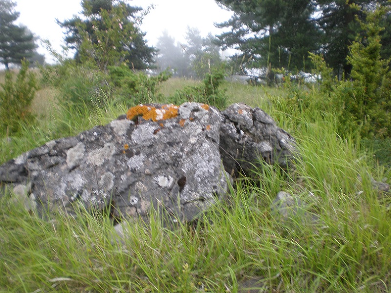 Click for the gallery page to add comments and vote (PID:182347) Dolmen de Barjac