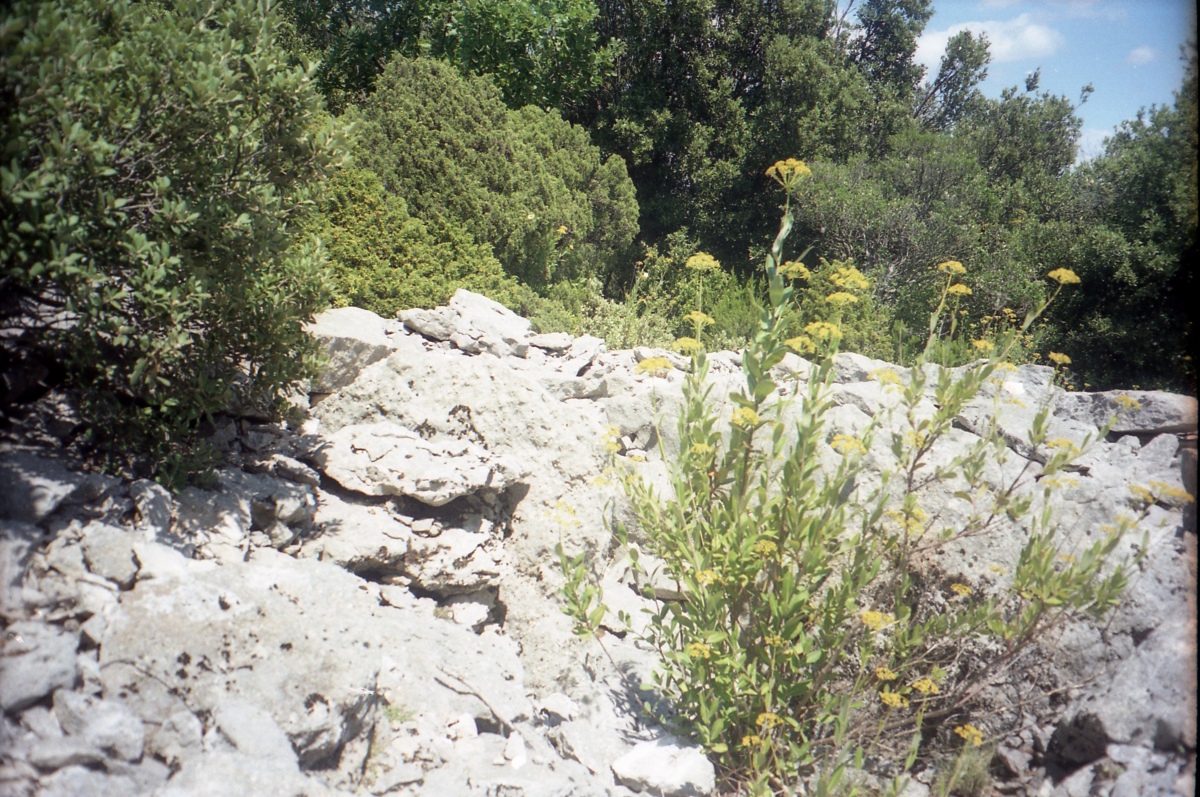 Click for the gallery page to add comments and vote (PID:209322) Dolmen du Bois Bas 5