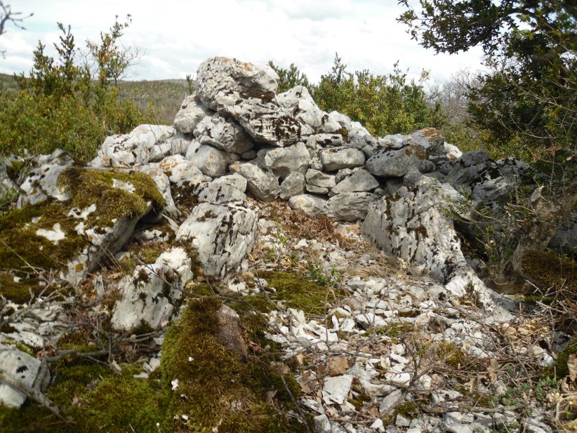 Click for the gallery page to add comments and vote (PID:145046) Dolmen de Coucelles