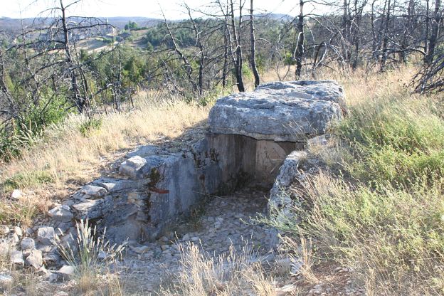 Click for the gallery page to add comments and vote (PID:15679) Dolmen de la Marque