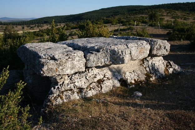 Click for the gallery page to add comments and vote (PID:15677) Dolmen du Buisson
