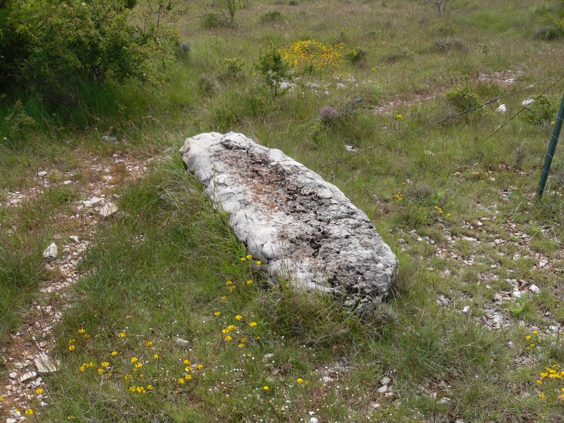 Menhir Plan de Ceisse 3