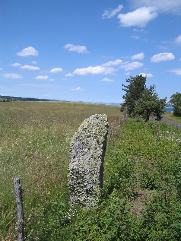 Click for the gallery page to add comments and vote (PID:187550) Menhir du Plot de la Fage 4