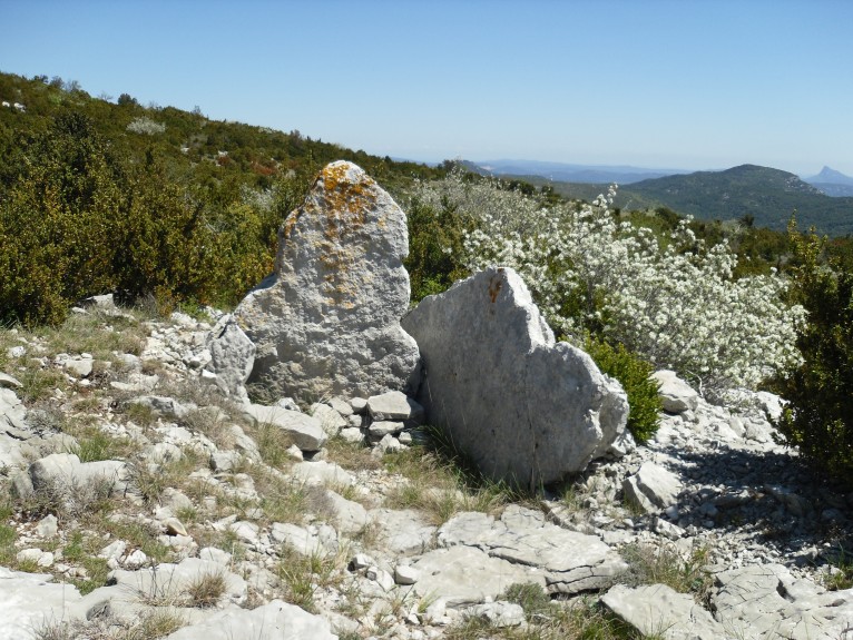 Mas de Torreau dolmen 2