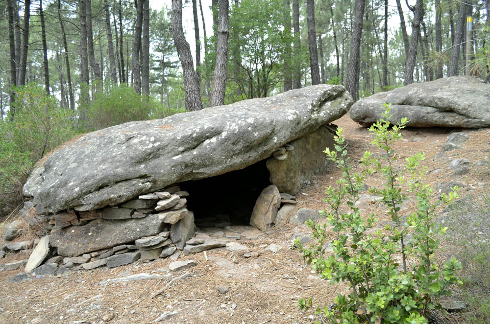 Dolmen de Chams