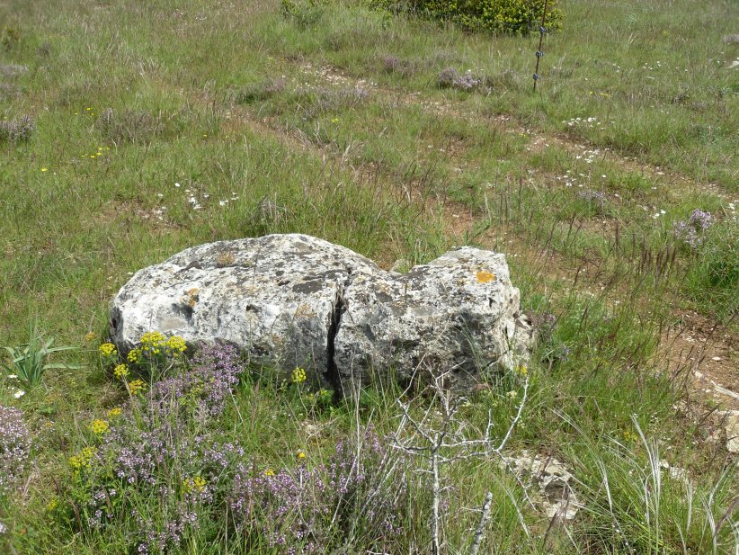 Menhir du Col de Médigout