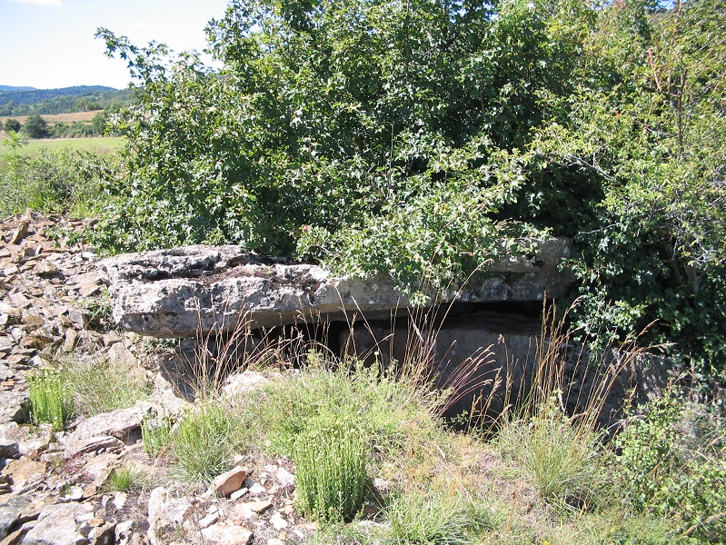 Click for the gallery page to add comments and vote (PID:187650) Dolmen de la Croix du Siffleur