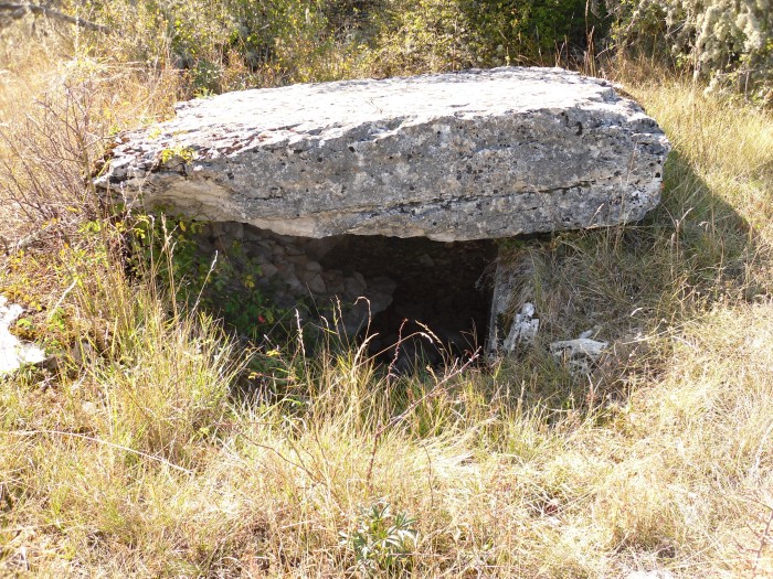 Click for the gallery page to add comments and vote (PID:83698) Dolmen de Bramonas