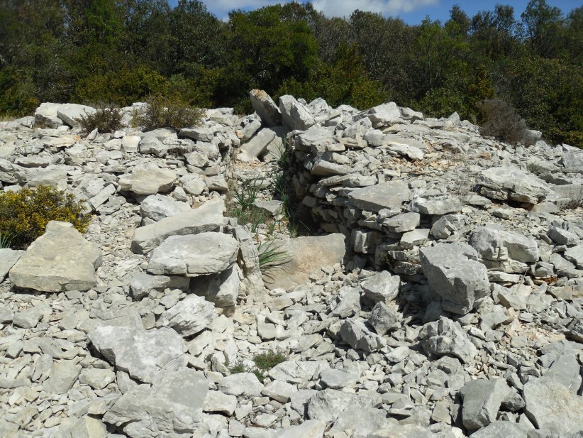 Dolmen Signal du Puéchabon