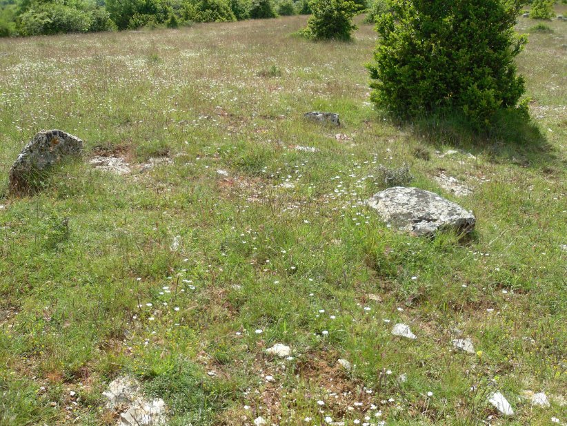 Click for the gallery page to add comments and vote (PID:129945) Menhir de Latude 2