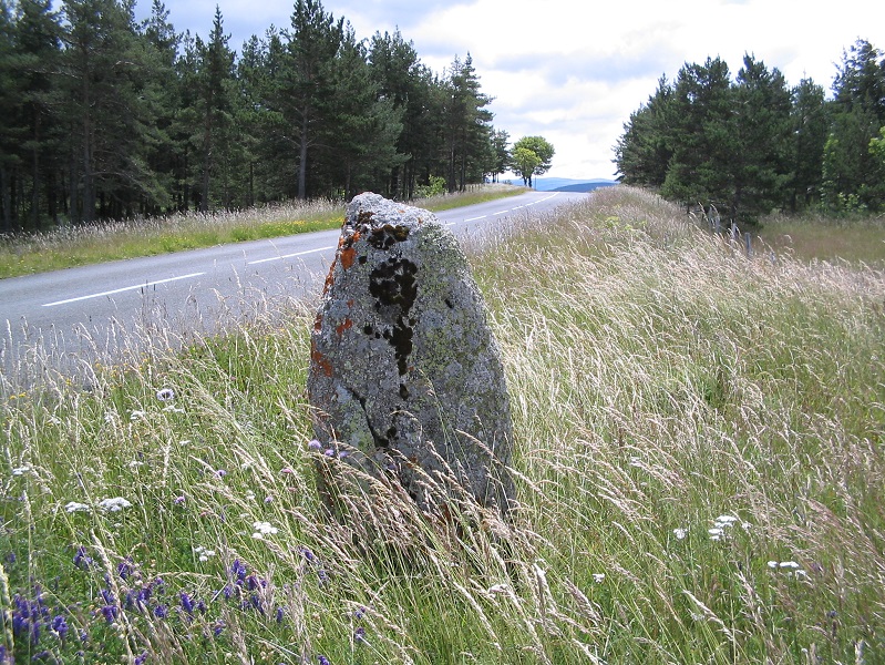 Click for the gallery page to add comments and vote (PID:187578) Menhir de Laubert