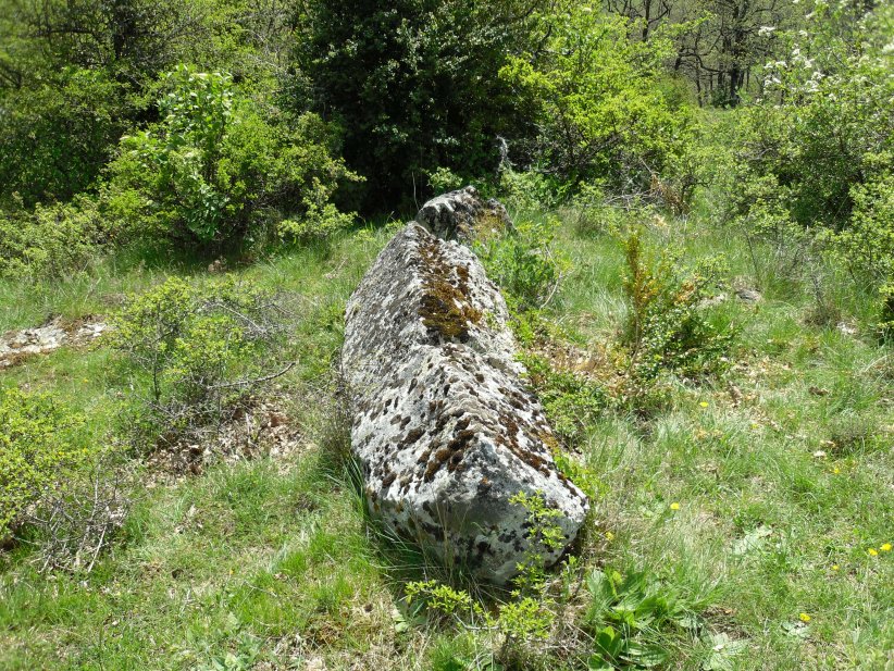Click for the gallery page to add comments and vote (PID:129947) Menhir de Rajolas 1