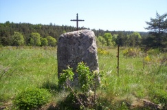 Menhir de Camprieu