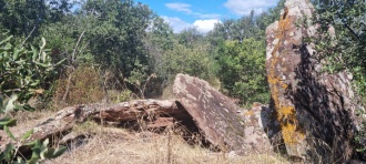 Dolmen du Pigeonnier de Sallèles