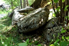Menhir n°2 de Targassonne