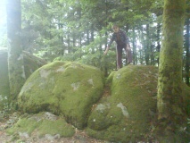 Malbosc stones