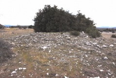 Tumulus des Baumes