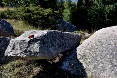 Menhir du Col de Juell