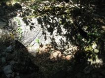 Dolmen de Paza