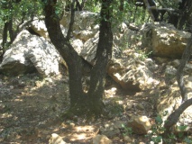 Dolmens de Counezeil