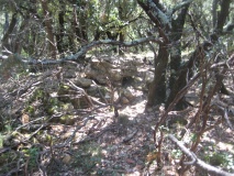 Dolmens de Counezeil