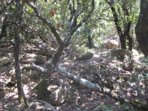 Dolmens de Counezeil