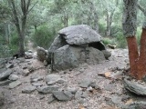 Dolmen de La Siureda - PID:43027
